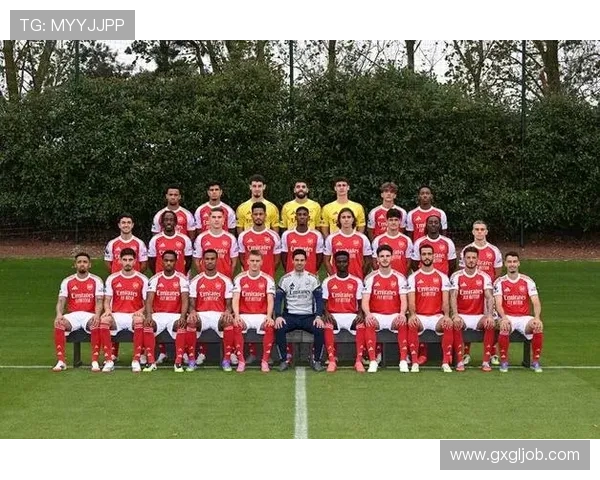 费迪南德:理解阿森纳国脚退出因弗格森相似观点 费迪南德:理解阿森纳国脚退出因弗格森相似观点